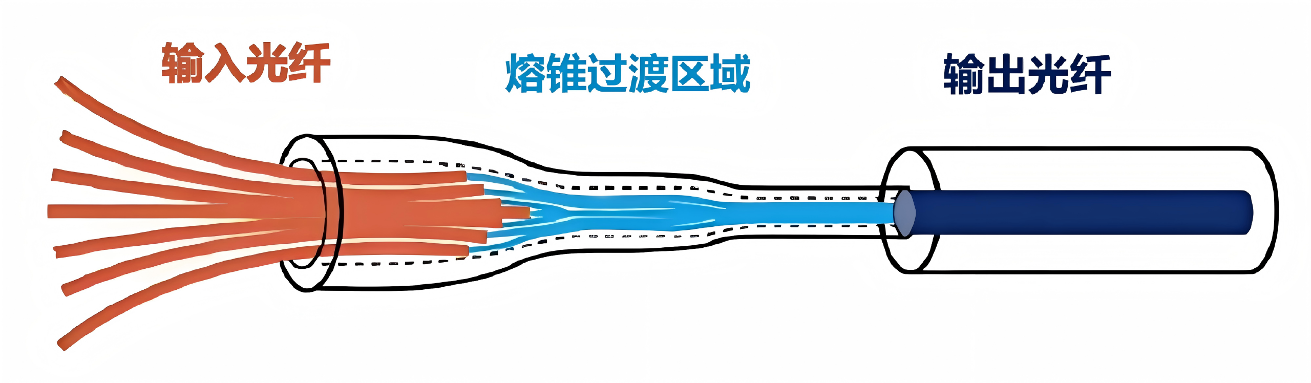 合束器结构-中文.png